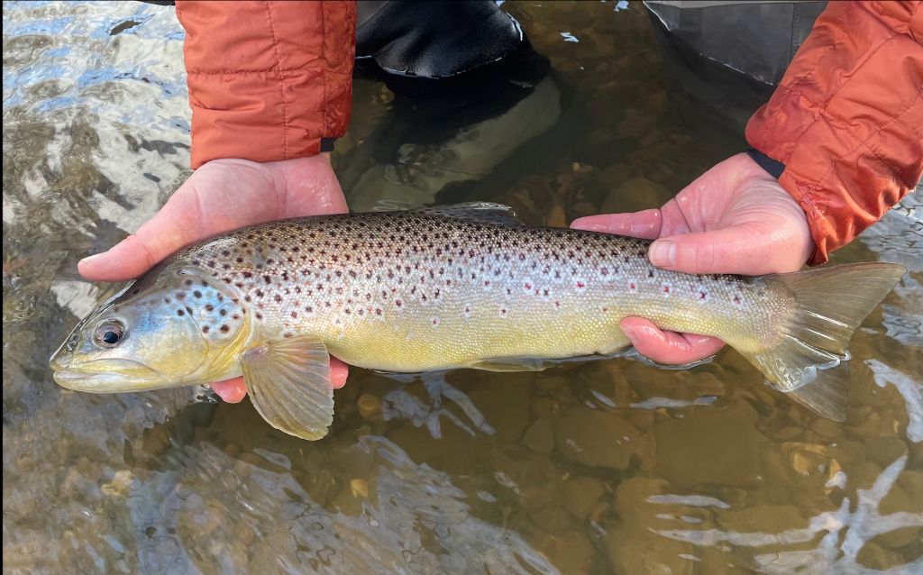 Fishing in Stoke On Trent