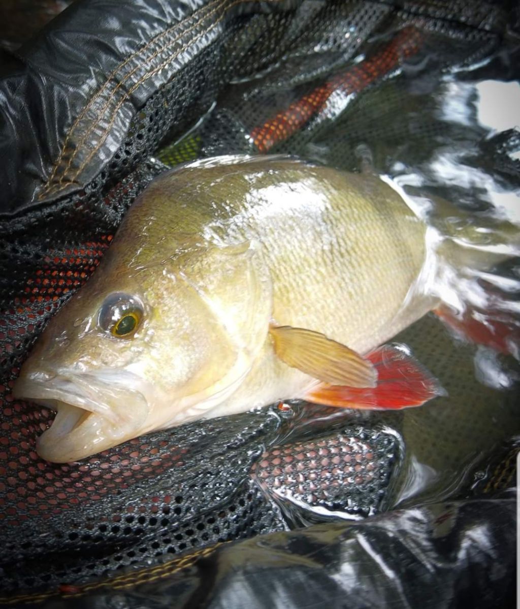 Fishing in Stoke On Trent