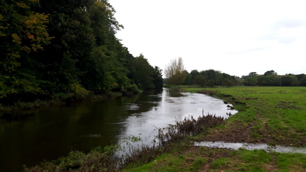River Sow Tixall.  Fishing Waters in Stoke On Trent and Staffordshire