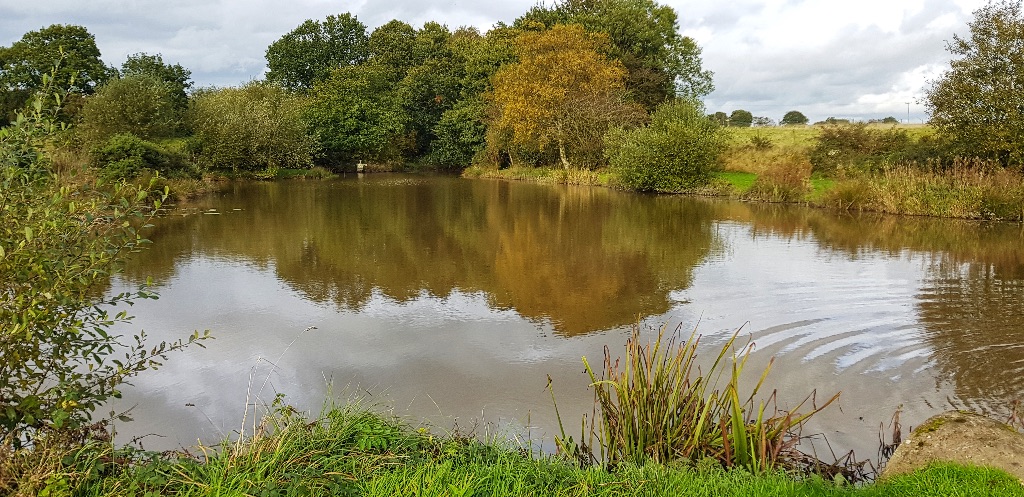 Finney's pools  Fenton and District Angling Society