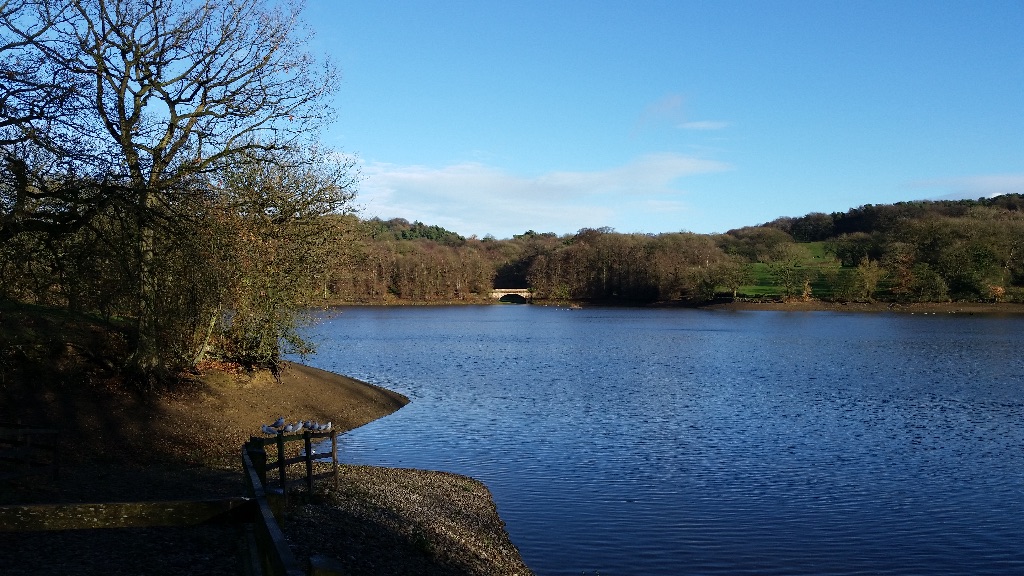 Knypersley Reservoir Fenton and District Angling Society
