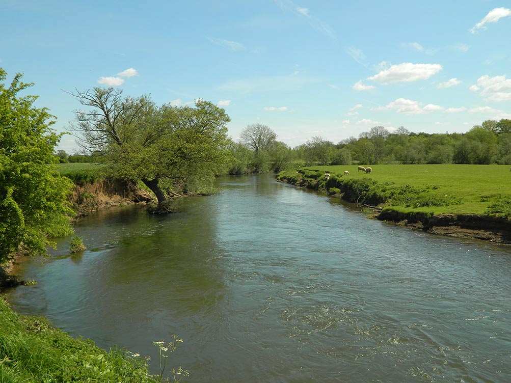 River Dove Doveridge Fenton and District Angling Society