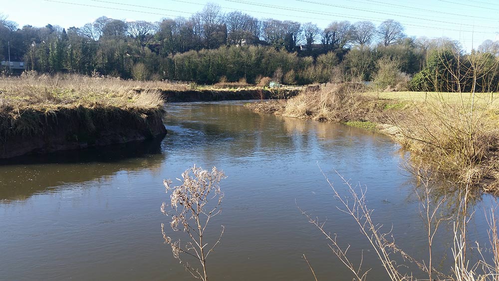 River Trent at Weston Fenton and District Angling Society